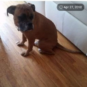 Meet your Posher, David